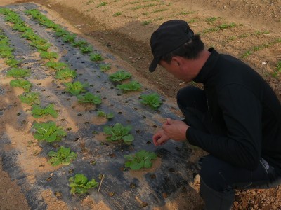 정경숙 가족농장