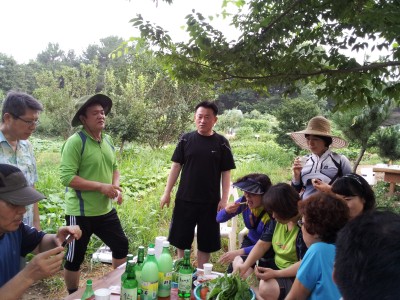 주말농장 장터 이모저모