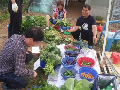 마당쇠마을 주말농장 장터 열렸습니다.