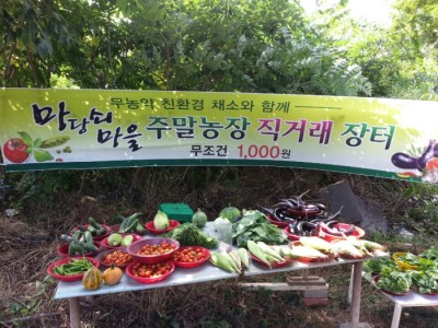주말농장 7월 직거래장터 스케치!!
