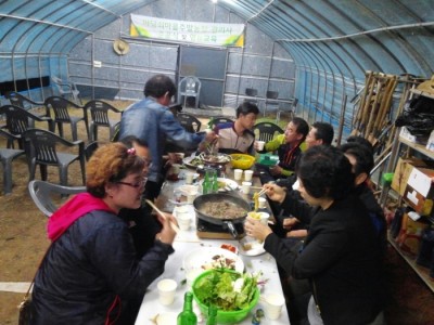 주말농장 추수감사 행사스케치