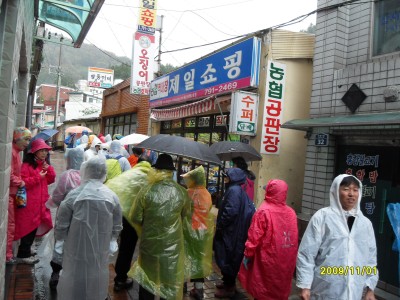 울릉도