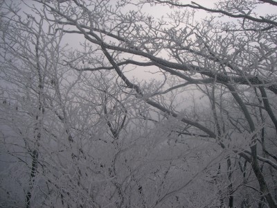 소백산사진