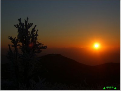 마당쇠 새해인사 동영상!