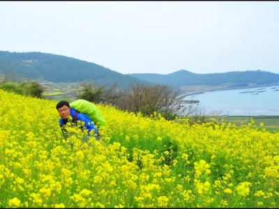청산도- 12
