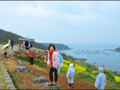 청산도- 8