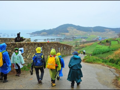 청산도- 11