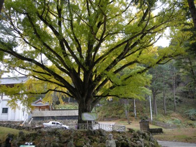 091017 치악산