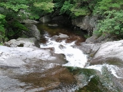 동대산