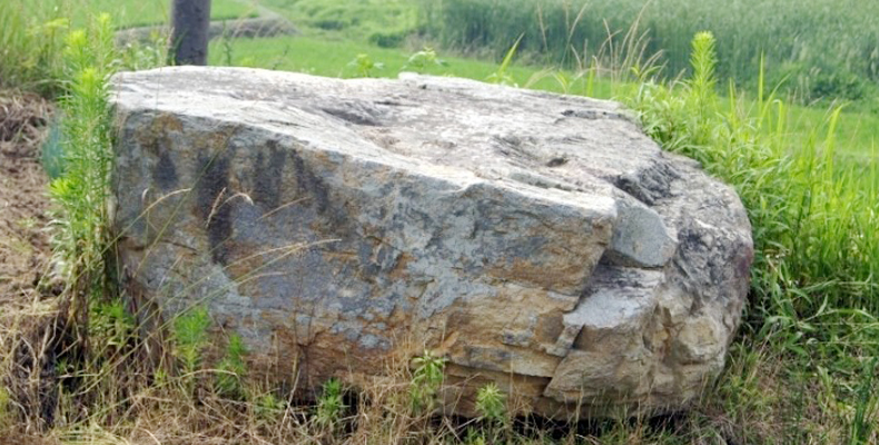 창평동 지석묘 전경